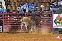 DROBERTS-SLE-PERFORMANCE #1- 03142025-MONTGOMERY ALABAMA-BR-BLAKE BLANCHARD-FRONTIER RODEO CO-MOON FLOWER 21817