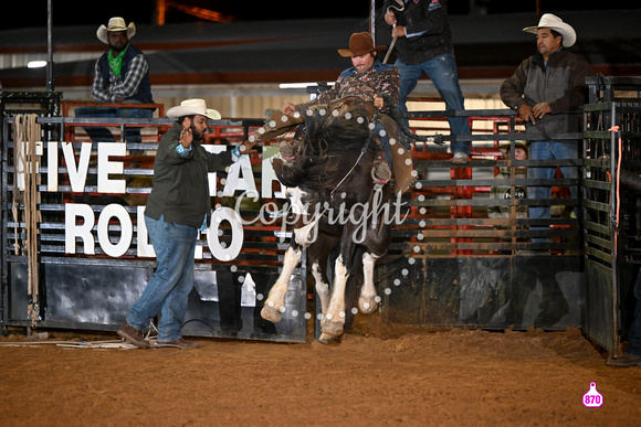 DROBERTS-CITRUS COUNTY STAMPEDE-INVERNESS FLORIDA-PERF 1-11182022-BB-BRAZOS WINTERS-5 STAR RODEO COMPANY-HOLLWOOD NIGHTS  7071