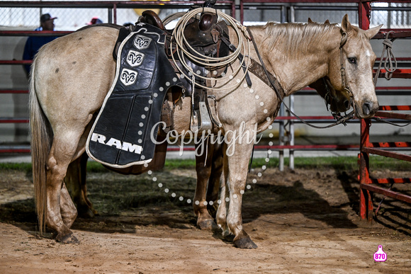 DROBERTS-CITRUS COUNTY STAMPEDE-INVERNESS FLORIDA-PERF 1-11182022-MISC GRAND ENTRY  6870
