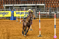 DSC_1100 (2)