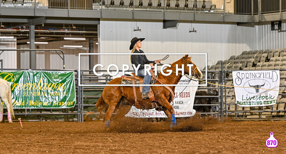 DROBERTS-OZARK EMPIRE FAIR PRCA-SPRINGFIELD, MISSOURI-SLACK-GBKWY-BAILEY WITT 23016
