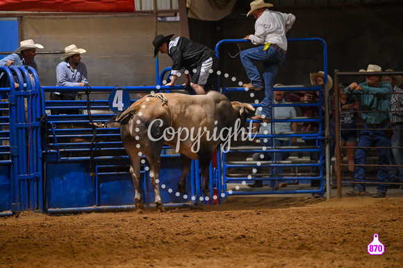 RUSS CAMPBELL 2023 RODEO 3096