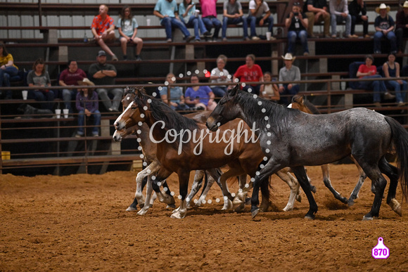 RUSS CAMPBELL 2023 RODEO 3376