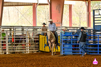 ACA MEMBERSHIP RODEO SEARCY 2025