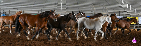 HOT SPRINGS RODEO BIBLE CAMP DAY 4 & RODEO 2023 1059