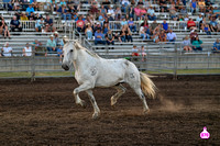 COWLEY COUNTY PRCA RODEO PERF #1 8-6-23