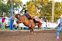 DROBERTS-WINFIELD KS COWLEY COUNTY PRCA RODEO-PERF #1-08062023-BB-TY BLESSING-SILVER CREEK-GREY WAY1853