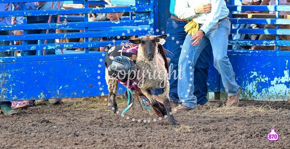 DROBERTS-WINFIELD KS COWLEY COUNTY PRCA RODEO-PERF #1-08062023-MUTTON BUSTING 1009