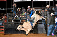 CITRUS STAMPEDE PRCA COMMITTEE PICTURES