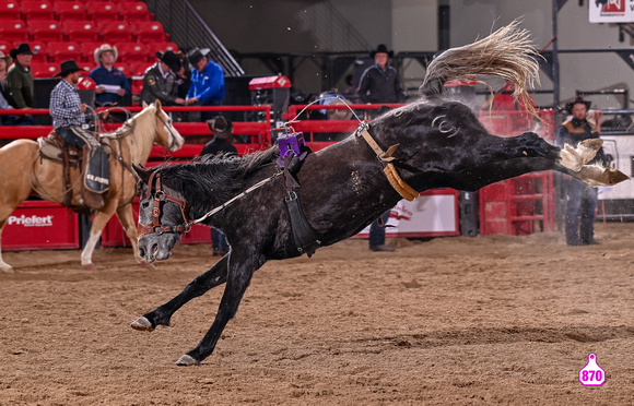 MROBERTS-BENNY BENIONS BUCKING HORSE SALE-2-3 YR OLD FUTURITY-051-COOPER CLAN 10493