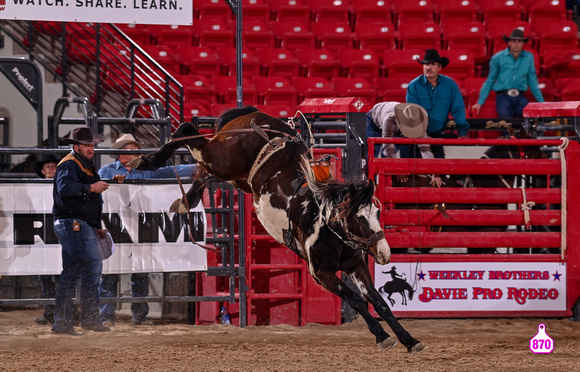 MROBERTS-BENNY BENIONS BUCKING HORSE SALE-2-3 YR OLD FUTURITY-155-DUCKWORTH RODEO 10367