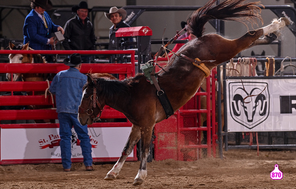 MROBERTS-BENNY BENIONS BUCKING HORSE SALE-2-3 YR OLD FUTURITY-BARBWIRE-GERRY & JESSICA BYRN 10456