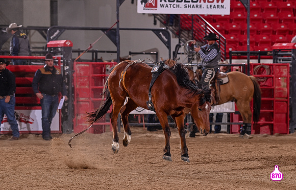 MROBERTS-BENNY BENIONS BUCKING HORSE SALE-2-3 YR OLD FUTURITY-CLOSING TIME-WOLF CREEK RODEO 10377