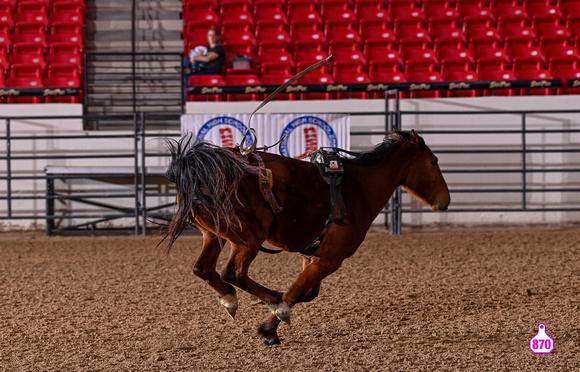 MROBERTS-BENNY BENIONS BUCKING HORSE SALE-2-3 YR OLD FUTURITY-CLOSING TIME-WOLF CREEK RODEO 10381