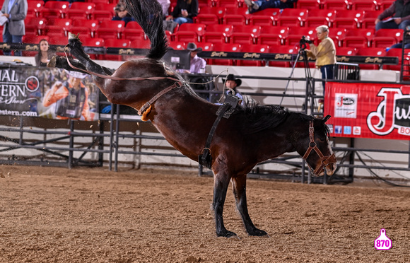 MROBERTS-BENNY BENIONS BUCKING HORSE SALE-2-3 YR OLD FUTURITY-COPPER ALE-4-E BUCKING HORSES 10422