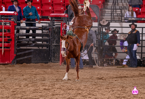 MROBERTS-BENNY BENIONS BUCKING HORSE SALE-2-3 YR OLD FUTURITY-L03-DORENKAMP LAND & CATTLE 10534