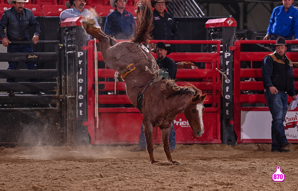 MROBERTS-BENNY BENIONS BUCKING HORSE SALE-2-3 YR OLD FUTURITY-MIGHTY MILLER-LJ RANCH 10479