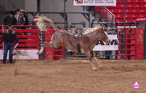 MROBERTS-BENNY BENIONS BUCKING HORSE SALE-2-3 YR OLD FUTURITY-SASSY-LJ RANCH 10385