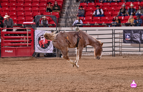 MROBERTS-BENNY BENIONS BUCKING HORSE SALE-2-3 YR OLD FUTURITY-SASSY-LJ RANCH 10387