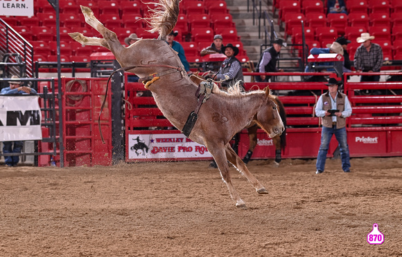 MROBERTS-BENNY BENIONS BUCKING HORSE SALE-2-3 YR OLD FUTURITY-SASSY-LJ RANCH 10386