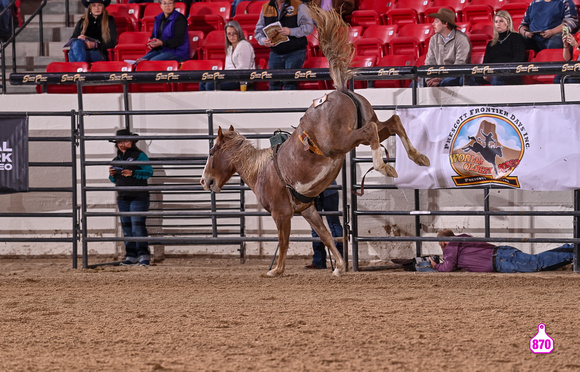 MROBERTS-BENNY BENIONS BUCKING HORSE SALE-2-3 YR OLD FUTURITY-SASSY-LJ RANCH 10391