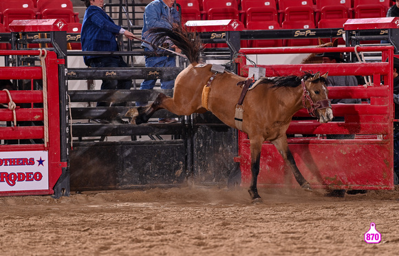 MROBERTS-BENNY BENIONS BUCKING HORSE SALE-2-3 YR OLD FUTURITY-SCARRED LEATHER-DORENKAMP LAND & CATTLE 10495