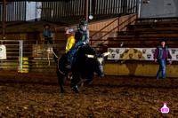 ALL BULLS FROM CHAMPIONSHIP SUNDAY (5)