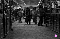 STACE SMITH WORLD BRONC FUTURITY FINALE 12-8-23 13193