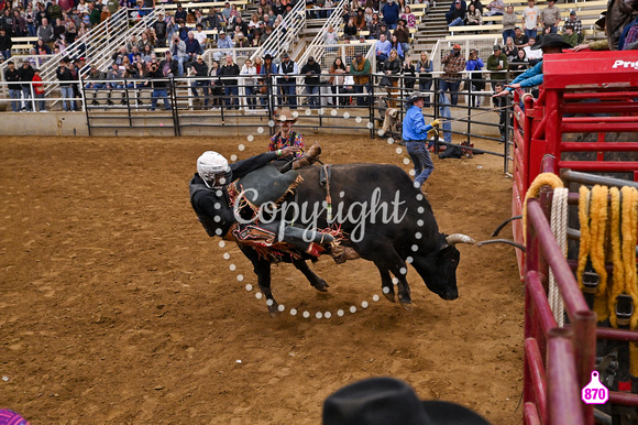 2023 LIBERTY BOWL IPRA RODEO MEMPHIS 12262023 15694