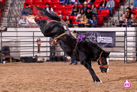 BENNY BENIONS 2023 2-3 YEAR OLD FUTURITY BRONCS 12-7-23