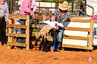 LINCOLN RIDING CLUB RODEO PERF #2 2024