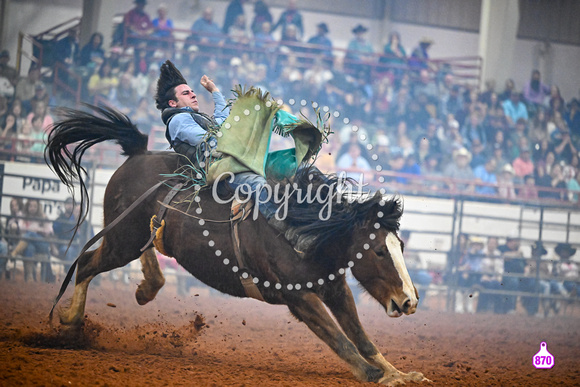 DROBERTS-SOUTHERN MISS COCA COLA PRCA-PERF #1-HARPER MORGAN-HATTIESBURG-BB 29135