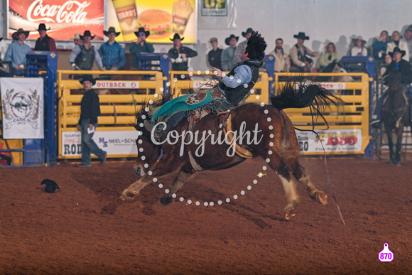 DROBERTS-SOUTHERN MISS COCA COLA PRCA-PERF #1-HARPER MORGAN-HATTIESBURG-BB 29137