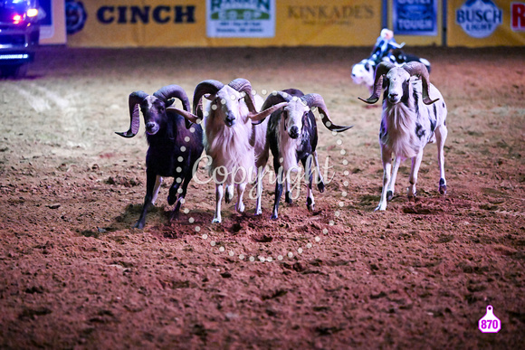 MROBERTS-DIXIE NATIONAL-PERF #2-02102024-MISC-PERSONEL-DUSTY MYERS-TIM LEPARD-FLAG GIRLS 33252