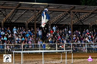 HARRISON IPRA PERF #3 SNEAK PEEK (16)