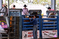 BRIGHTON FIELD DAY AND RODEO PERF #3 2024 36855