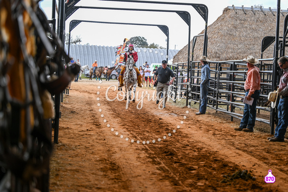 BRIGHTON FIELD DAY AND RODEO PERF #3 2024 36918