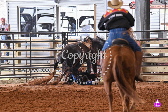 BRIGHTON FIELD DAY AND RODEO PERF #3 2024 36995