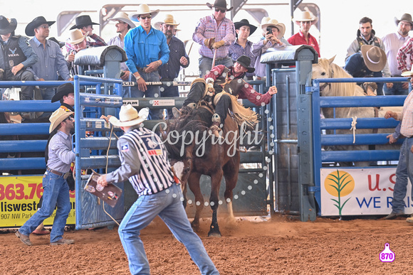 BRIGHTON FIELD DAY AND RODEO PERF #3 2024 36997