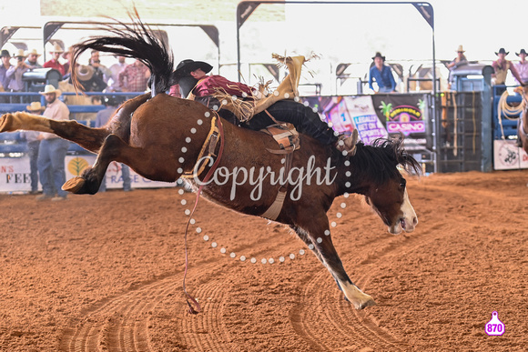 BRIGHTON FIELD DAY AND RODEO PERF #3 2024 37009