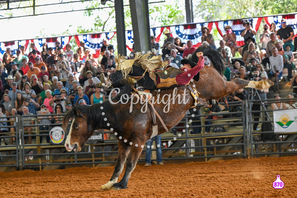 BRIGHTON FIELD DAY AND RODEO PERF #3 2024 37019