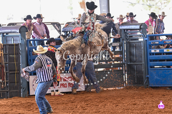 BRIGHTON FIELD DAY AND RODEO PERF #3 2024 37040
