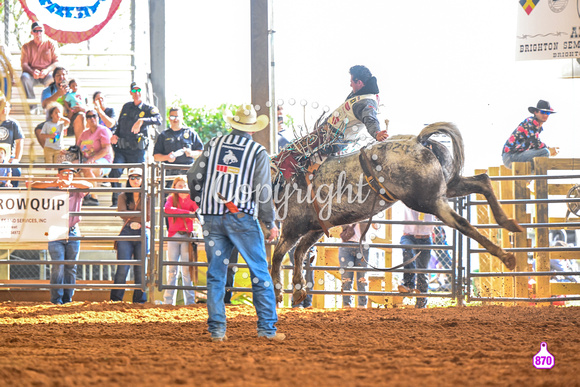 BRIGHTON FIELD DAY AND RODEO PERF #3 2024 37054