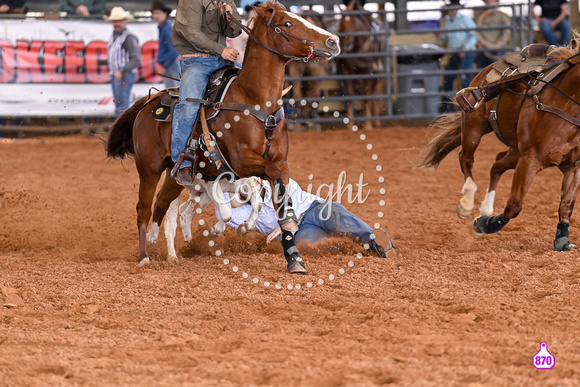 BRIGHTON FIELD DAY AND RODEO PERF #3 2024 37182
