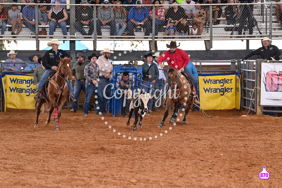 BRIGHTON FIELD DAY AND RODEO PERF #3 2024 37196