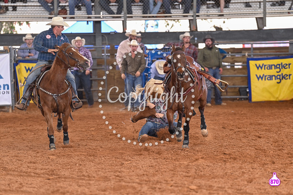BRIGHTON FIELD DAY AND RODEO PERF #3 2024 37217
