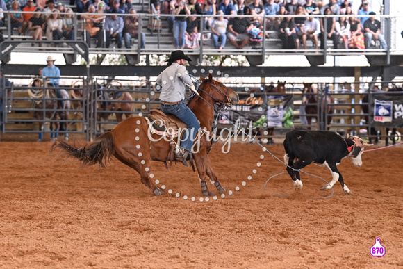 BRIGHTON FIELD DAY AND RODEO PERF #3 2024 37317
