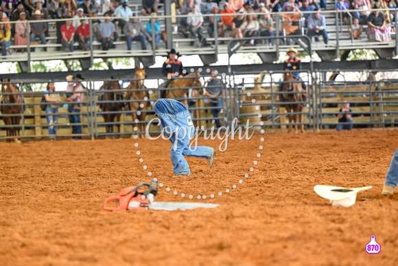 BRIGHTON FIELD DAY AND RODEO PERF #3 2024 37363