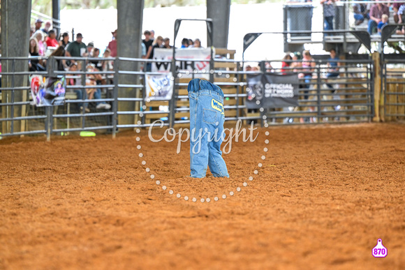 BRIGHTON FIELD DAY AND RODEO PERF #3 2024 37375