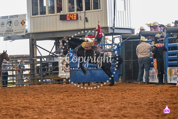 BRIGHTON FIELD DAY AND RODEO PERF #3 2024 37407